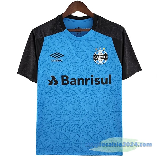 Formazione Grêmio 2022 2023 Azul Poco Prezzo
