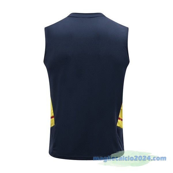 Formazione Senza Maniche Arsenal 2022 2023 Azul Navy Giallo Poco Prezzo
