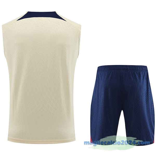 Formazione Senza Maniche Set Completo Paris Saint Germain 2023 2024 Giallo Azul Poco Prezzo