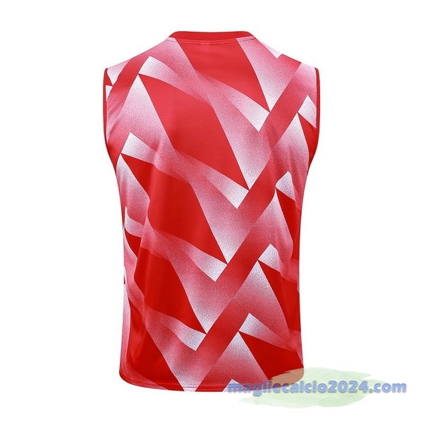 Entrenamiento Senza Maniche Bayern Múnich 2023 2024 Rosso Bianco Poco Prezzo