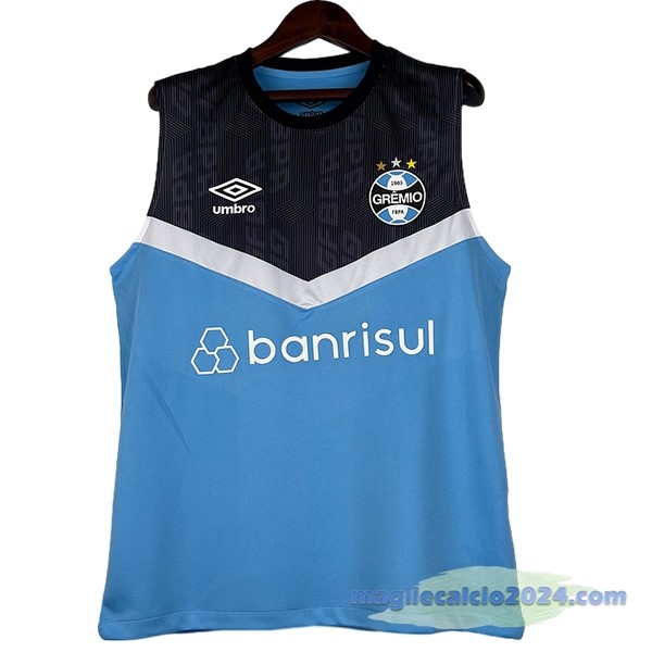 Entrenamiento Senza Maniche Grêmio 2023 2024 Blu Grigio Poco Prezzo