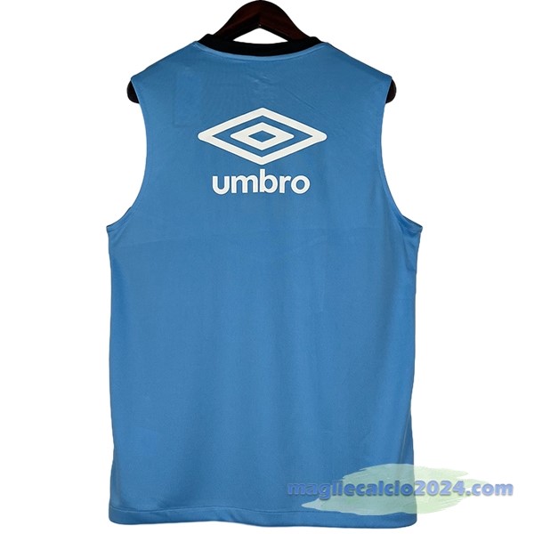 Entrenamiento Senza Maniche Grêmio 2023 2024 Blu Grigio Poco Prezzo