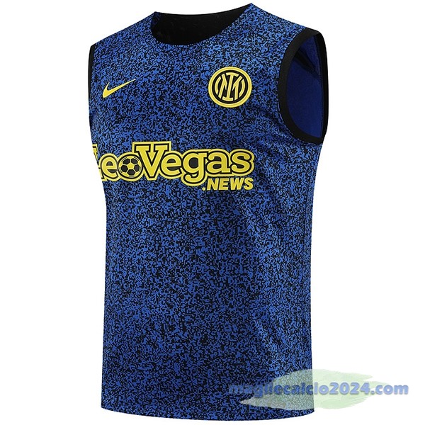 Entrenamiento Senza Maniche Inter Milán 2023 2024 Blu Giallo Poco Prezzo