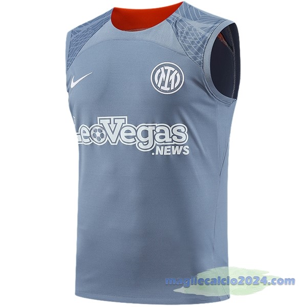 Entrenamiento Senza Maniche Inter Milán 2023 2024 Grigio Poco Prezzo