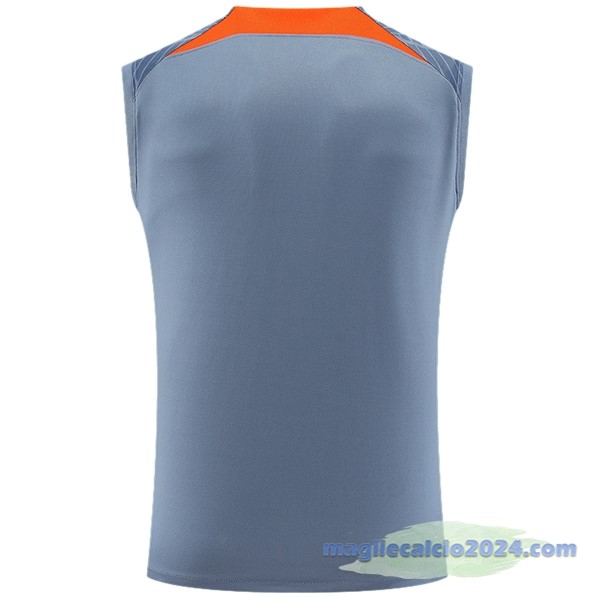 Entrenamiento Senza Maniche Inter Milán 2023 2024 Grigio Poco Prezzo