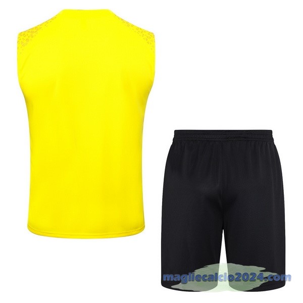 Entrenamiento Senza Maniche Set Completo Borussia Dortmund 2023 2024 Giallo Nero Grigio Poco Prezzo