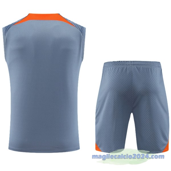 Entrenamiento Senza Maniche Set Completo Inter Milán 2023 2024 Grigio Poco Prezzo