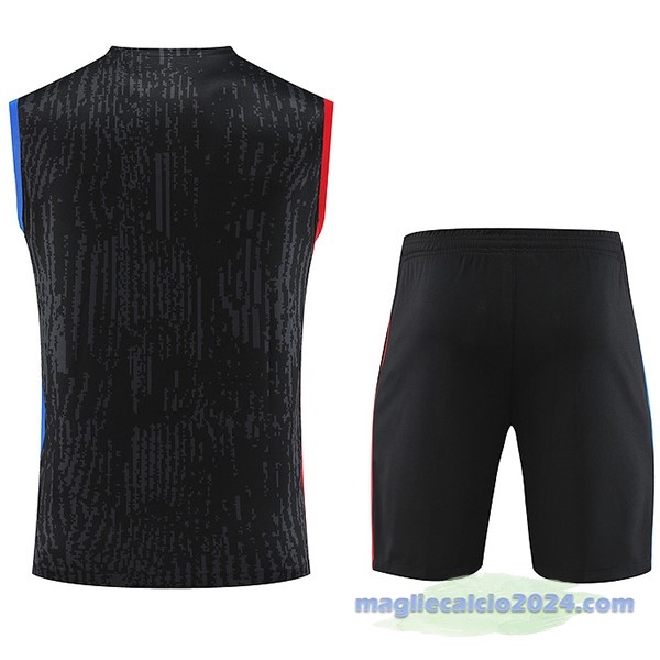 Entrenamiento Senza Maniche Set Completo Paris Saint Germain 2023 2024 Grigio Rosso Blu Poco Prezzo