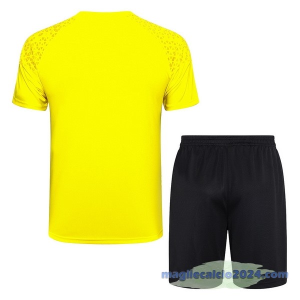 Entrenamiento Set Completo Borussia Dortmund 2023 2024 Giallo Nero Grigio Poco Prezzo