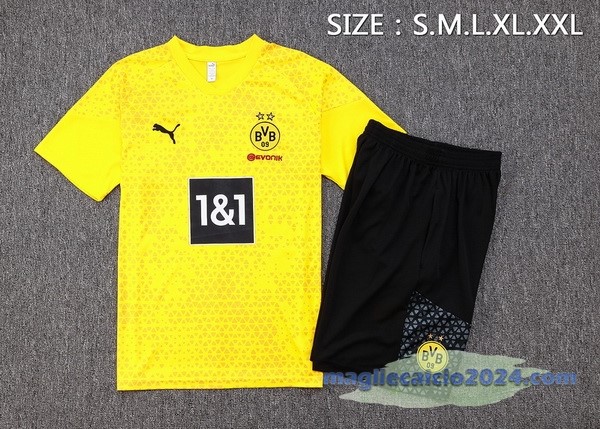 Entrenamiento Set Completo Borussia Dortmund 2023 2024 Giallo Nero Grigio Poco Prezzo