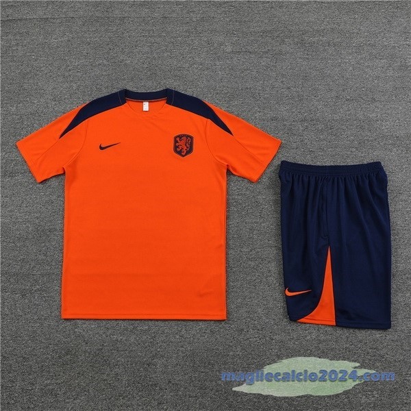 Entrenamiento Set Completo Paesi Bassi 2024 Arancione Blu Poco Prezzo