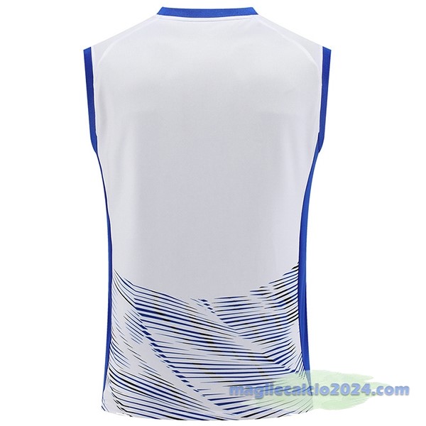 Entrenamiento Senza Maniche Inter Milán 2023 2024 Bianco Blu Poco Prezzo