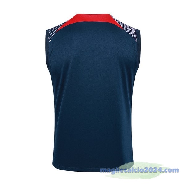 Entrenamiento Senza Maniche Paris Saint Germain 2023 2024 Blu Rosso Purpureo Poco Prezzo