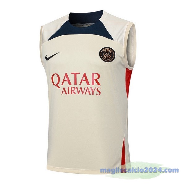 Entrenamiento Senza Maniche Paris Saint Germain 2023 2024 Giallo Blu Poco Prezzo