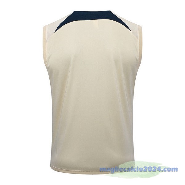 Entrenamiento Senza Maniche Paris Saint Germain 2023 2024 Giallo Blu Poco Prezzo