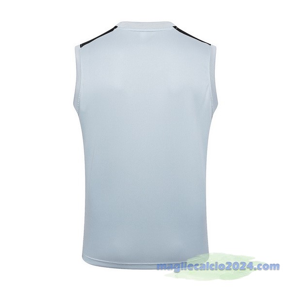 Entrenamiento Senza Maniche Paris Saint Germain 2023 2024 Grigio Luce Poco Prezzo