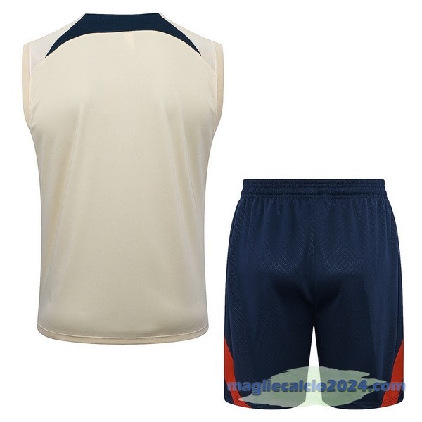 Entrenamiento Senza Maniche Set Completo Paris Saint Germain 2023 2024 Giallo Blu Poco Prezzo