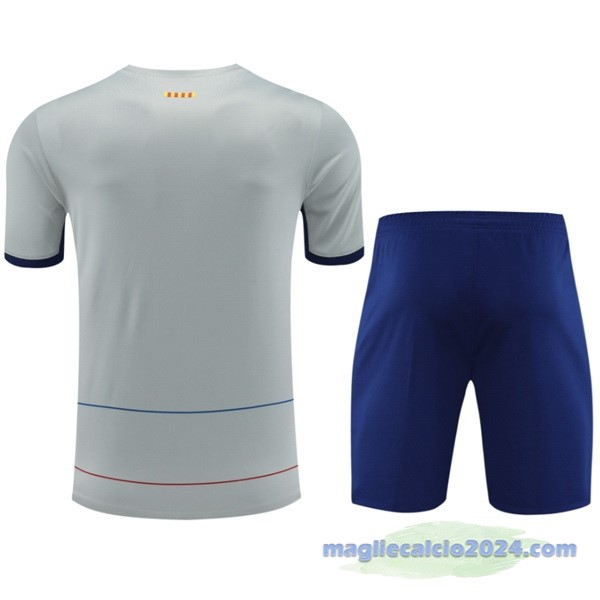 Entrenamiento Set Completo Barcelona 2023 2024 Grigio Blu Poco Prezzo