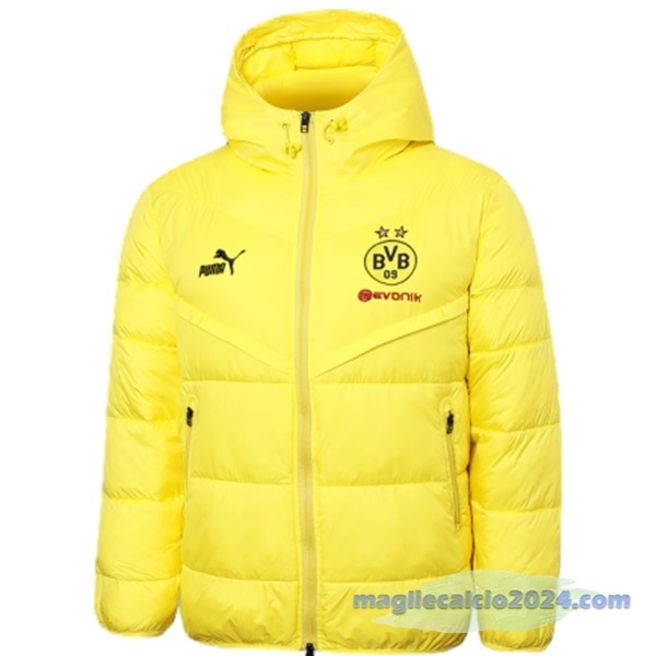 Giacca in Cotone Borussia Dortmund 2023 2024 Giallo Poco Prezzo