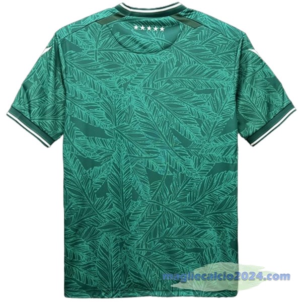 Thailandia Prima Maglia Santiago Wanderers 2024 2025 Verde Poco Prezzo