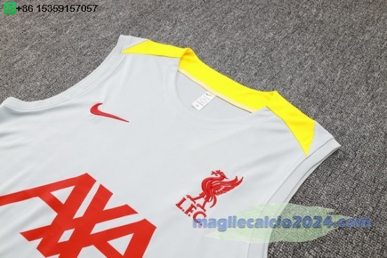 Formazione Senza Maniche Set Completo Liverpool 2024 2025 Grigio Giallo Nero Poco Prezzo