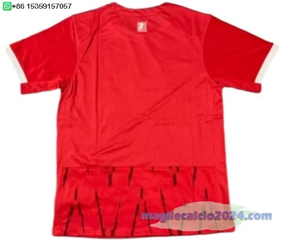 Thailandia Home Maglia Calcio Freiburg 2024 2025 Poco Prezzo